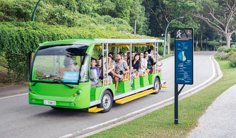 Bus